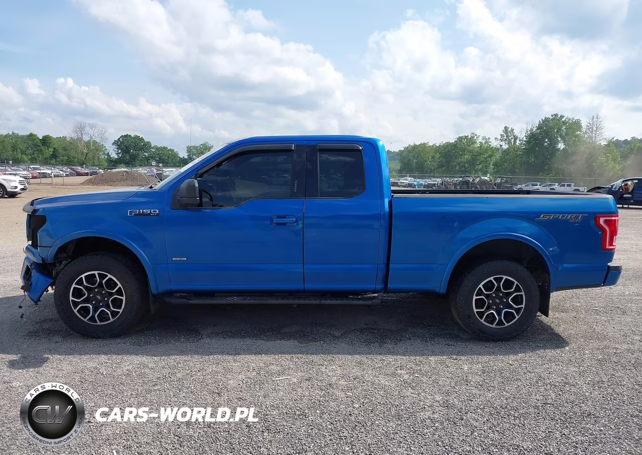 2016 Ford F-150 Xlt VIN:1FTFX1EG9GFC57117 - 15
