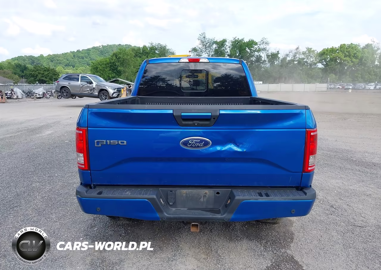 2016 Ford F-150 Xlt VIN:1FTFX1EG9GFC57117 - 17