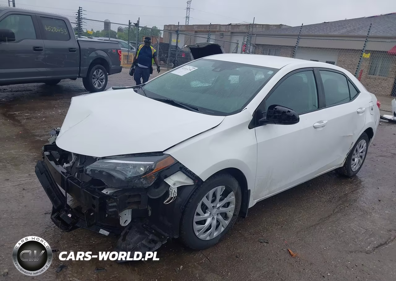 2019 Toyota Corolla Le VIN:2T1BURHE9KC210445 - 2