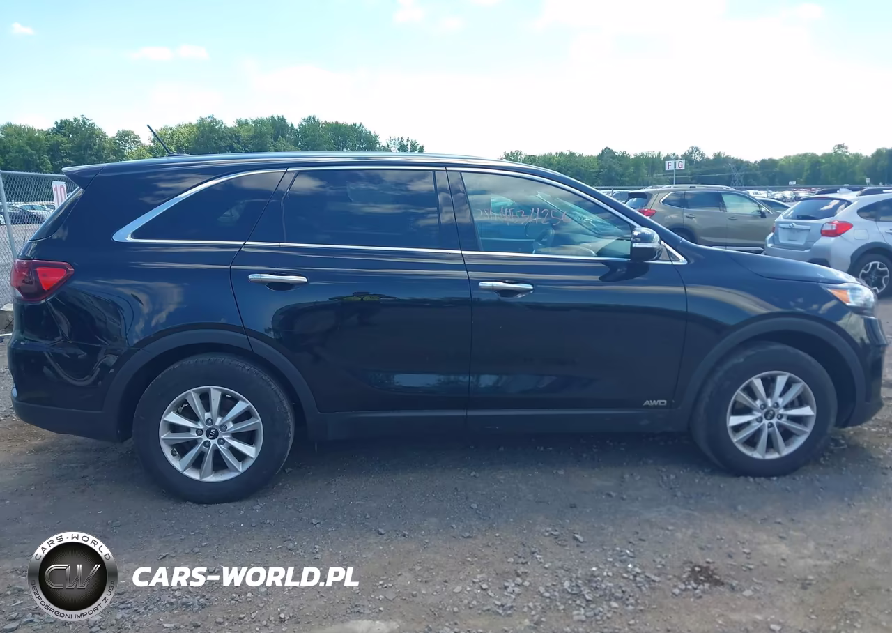2019 Kia Sorento 2.4L Lx VIN:5XYPGDA31KG570466 - 12
