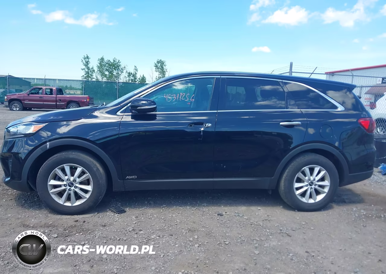 2019 Kia Sorento 2.4L Lx VIN:5XYPGDA31KG570466 - 13