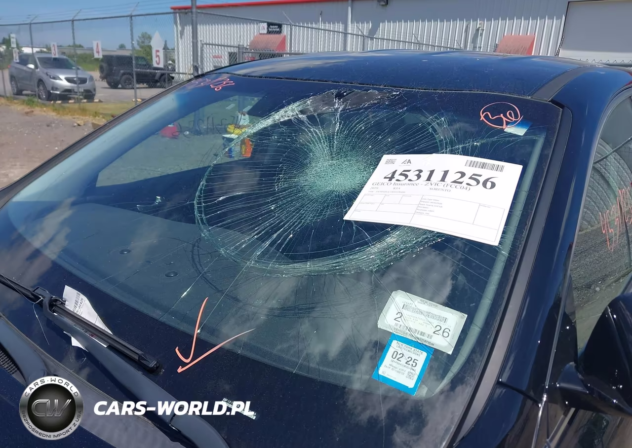 2019 Kia Sorento 2.4L Lx VIN:5XYPGDA31KG570466 - 6