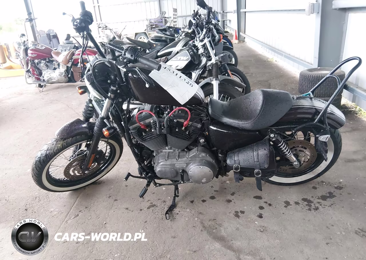 2009 Harley-Davidson Xl1200 N VIN:1HD1CZ3129K438880 - 13