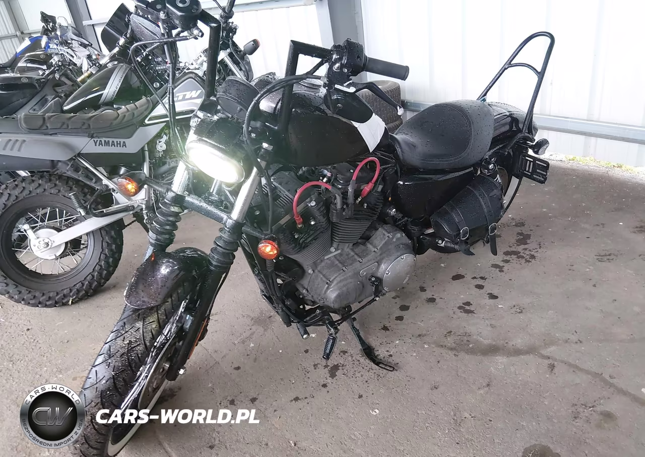 2009 Harley-Davidson Xl1200 N VIN:1HD1CZ3129K438880 - 2