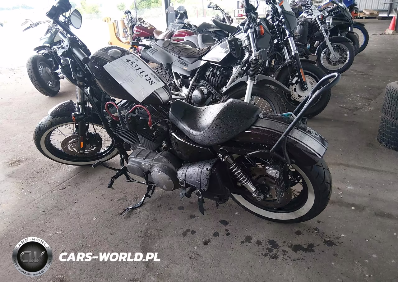 2009 Harley-Davidson Xl1200 N VIN:1HD1CZ3129K438880 - 3