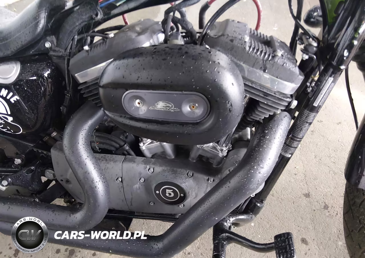 2009 Harley-Davidson Xl1200 N VIN:1HD1CZ3129K438880 - 8