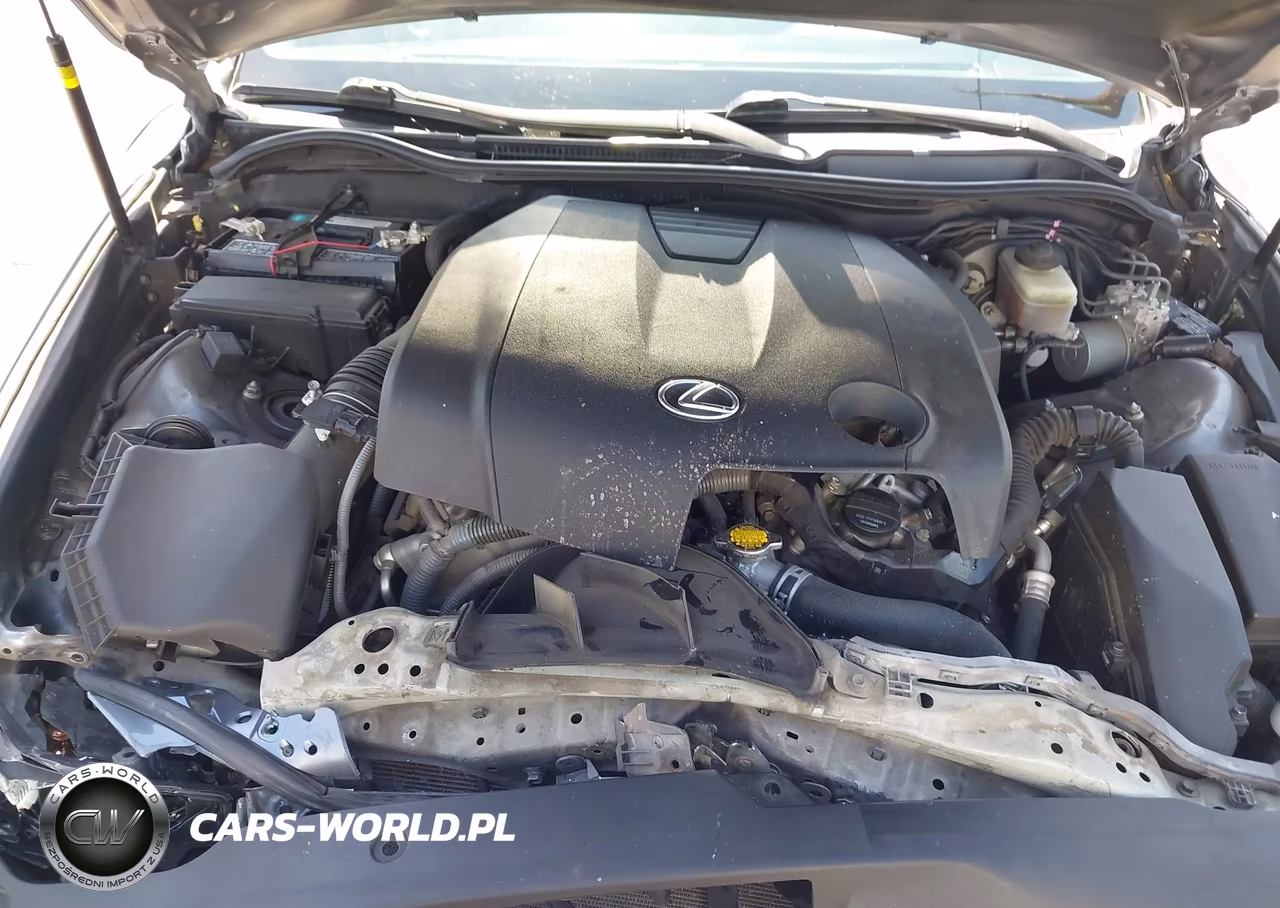 2015 Lexus Is 250 VIN:JTHBF1D21F5077818 - 10