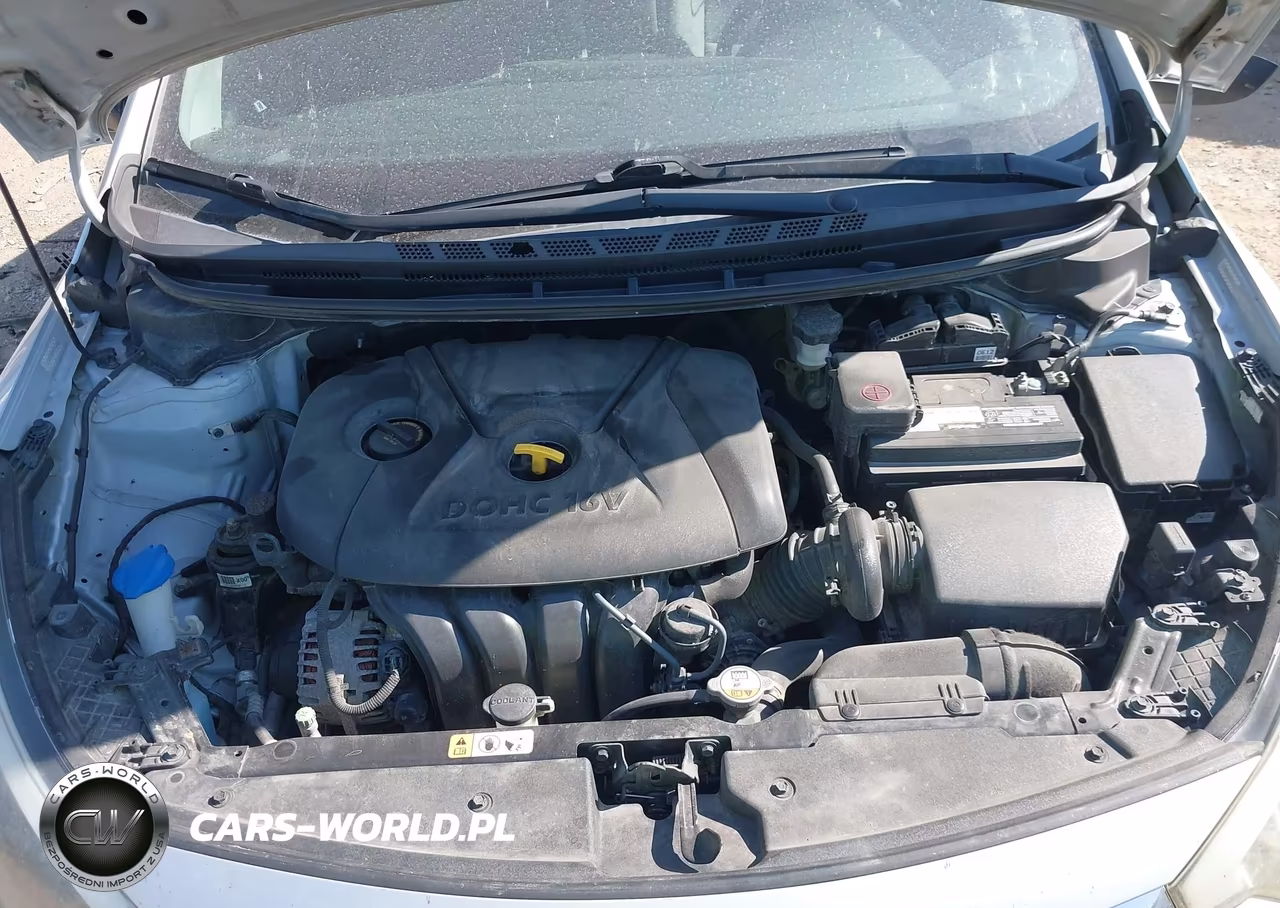 2015 Kia Forte Lx VIN:KNAFK4A68F5351911 - 10