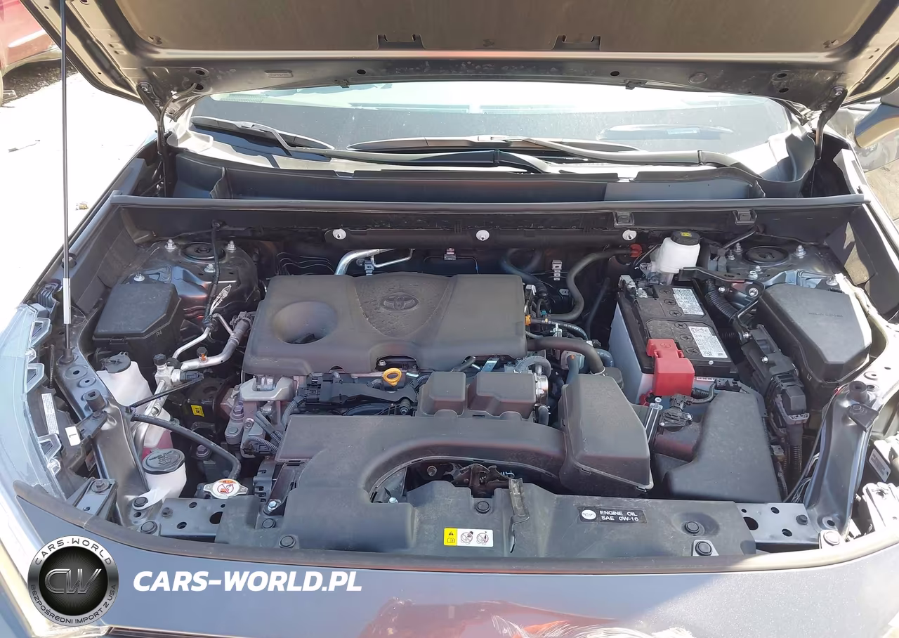 2024 Toyota Rav4 Xle VIN:2T3P1RFV1RC489098 - 10