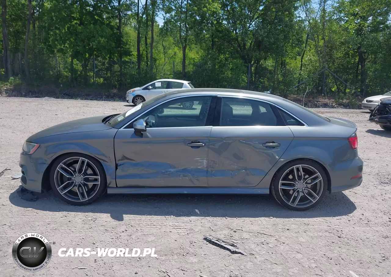 2015 Audi S3 2.0T Premium Plus VIN:WAUBFGFFXF1081469 - 14