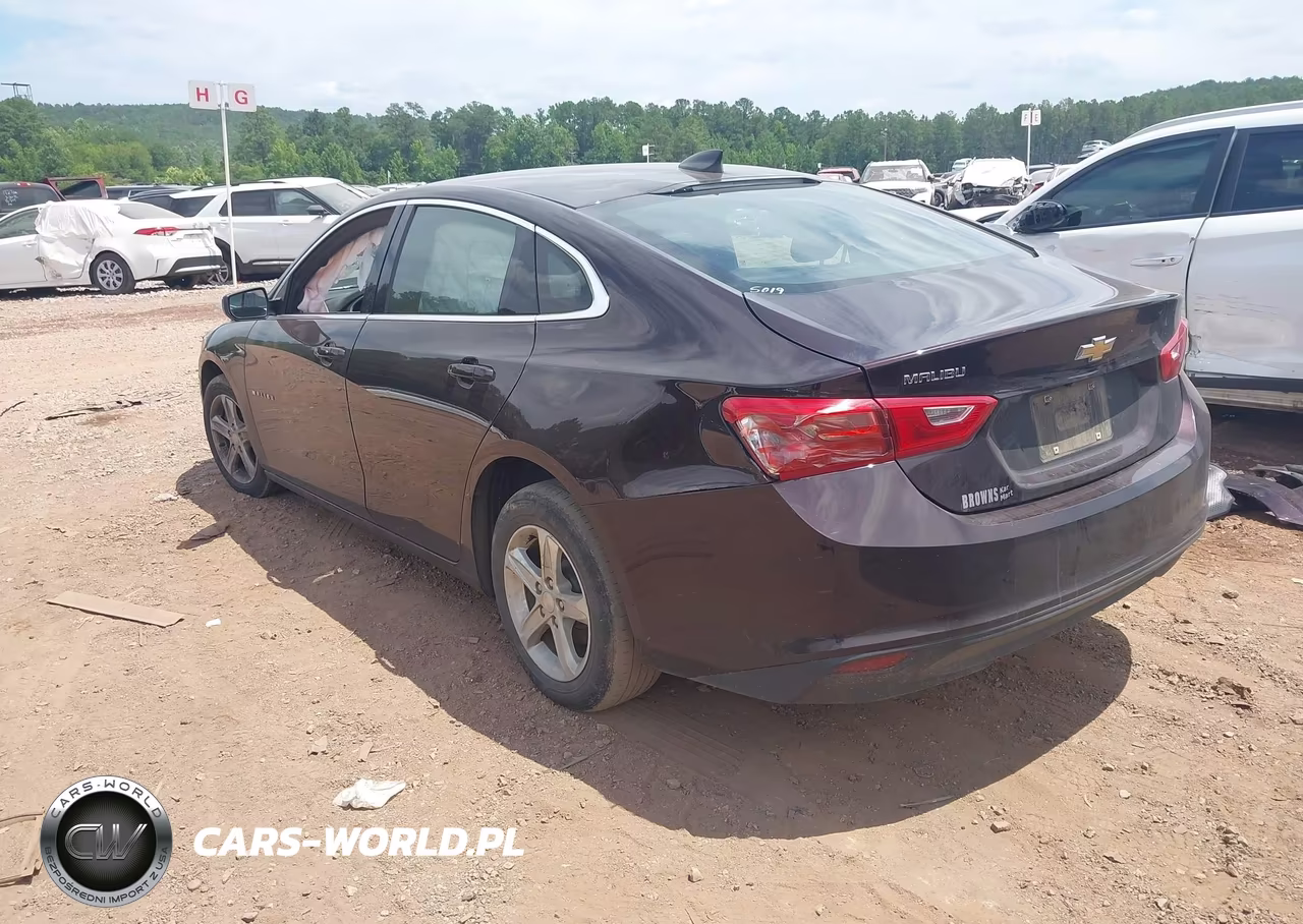 2020 Chevrolet Malibu Fwd 1Fl VIN:1G1ZC5ST4LF083414 - 3