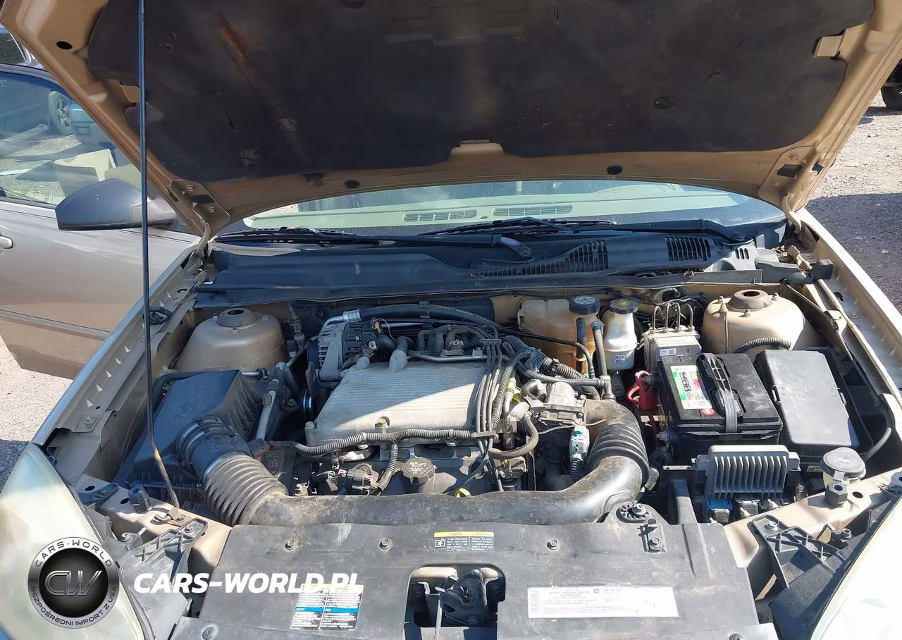 2004 Chevrolet Malibu Maxx Ls VIN:1G1ZT64894F231993 - 10