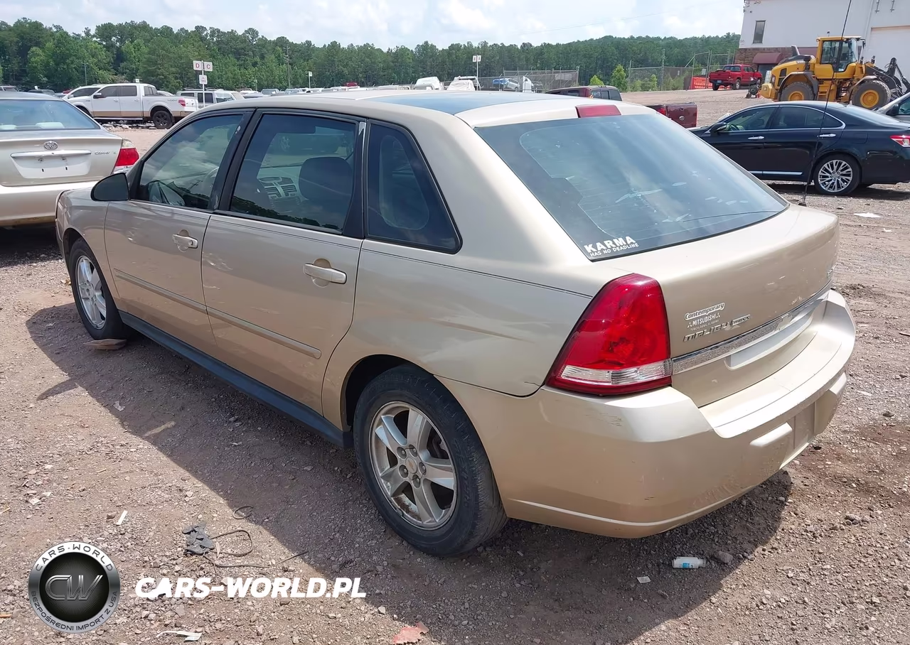2004 Chevrolet Malibu Maxx Ls VIN:1G1ZT64894F231993 - 3