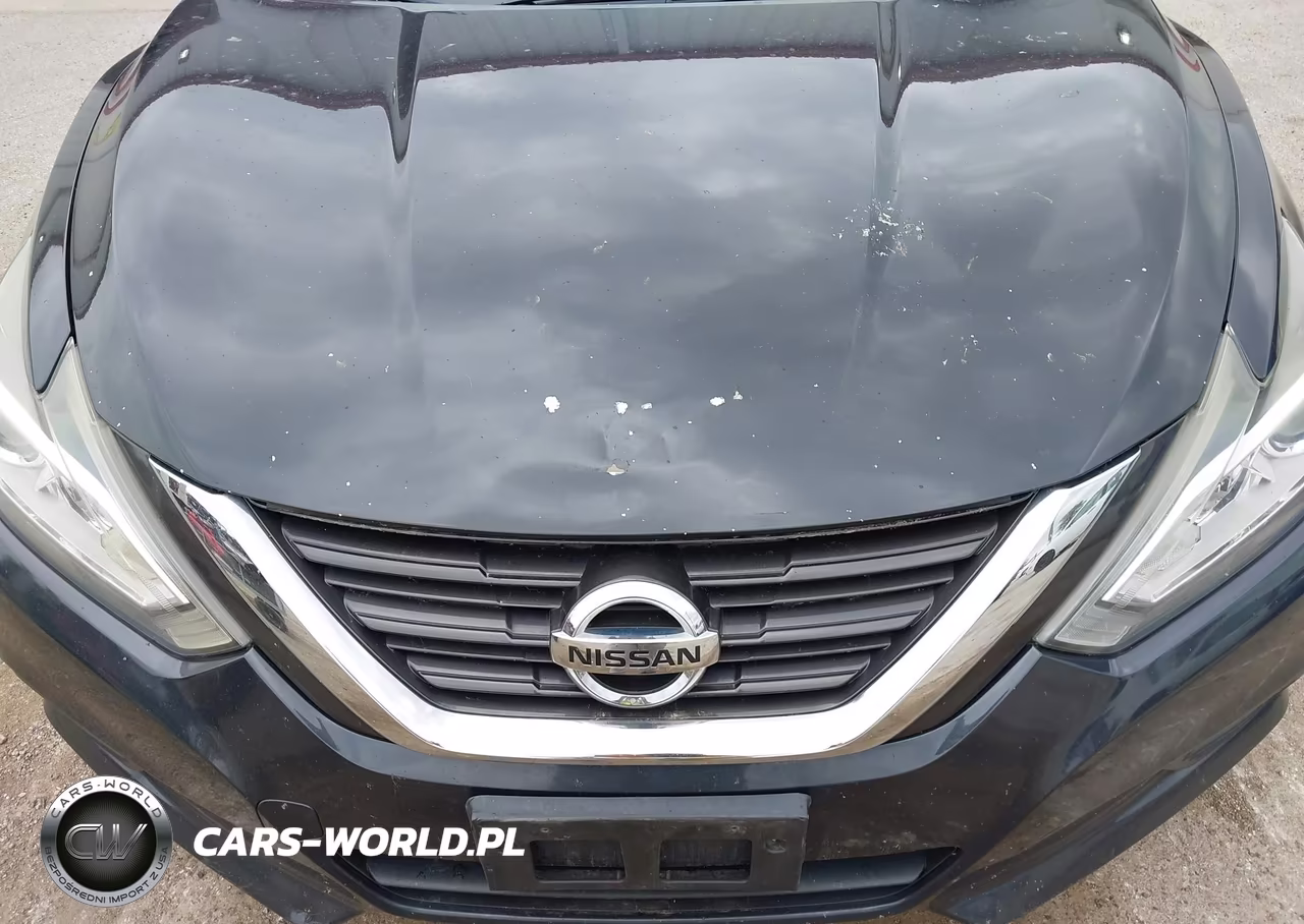 2016 Nissan Altima 2.5 S VIN:1N4AL3AP4GN341610 - 12