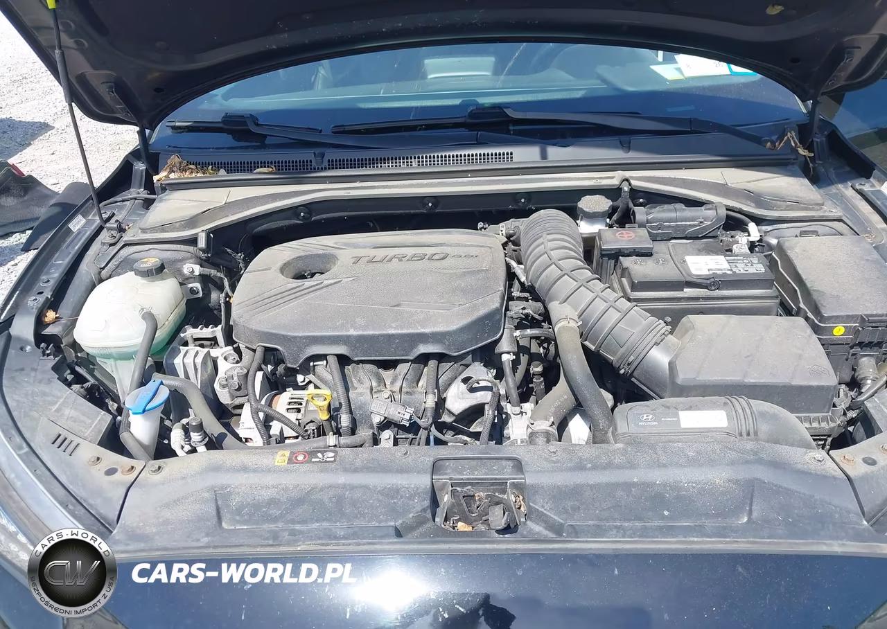 2019 Hyundai Veloster Turbo VIN:KMHTH6AB5KU013875 - 10