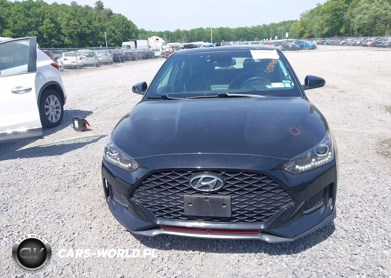 2019 Hyundai Veloster Turbo VIN:KMHTH6AB5KU013875 - 12