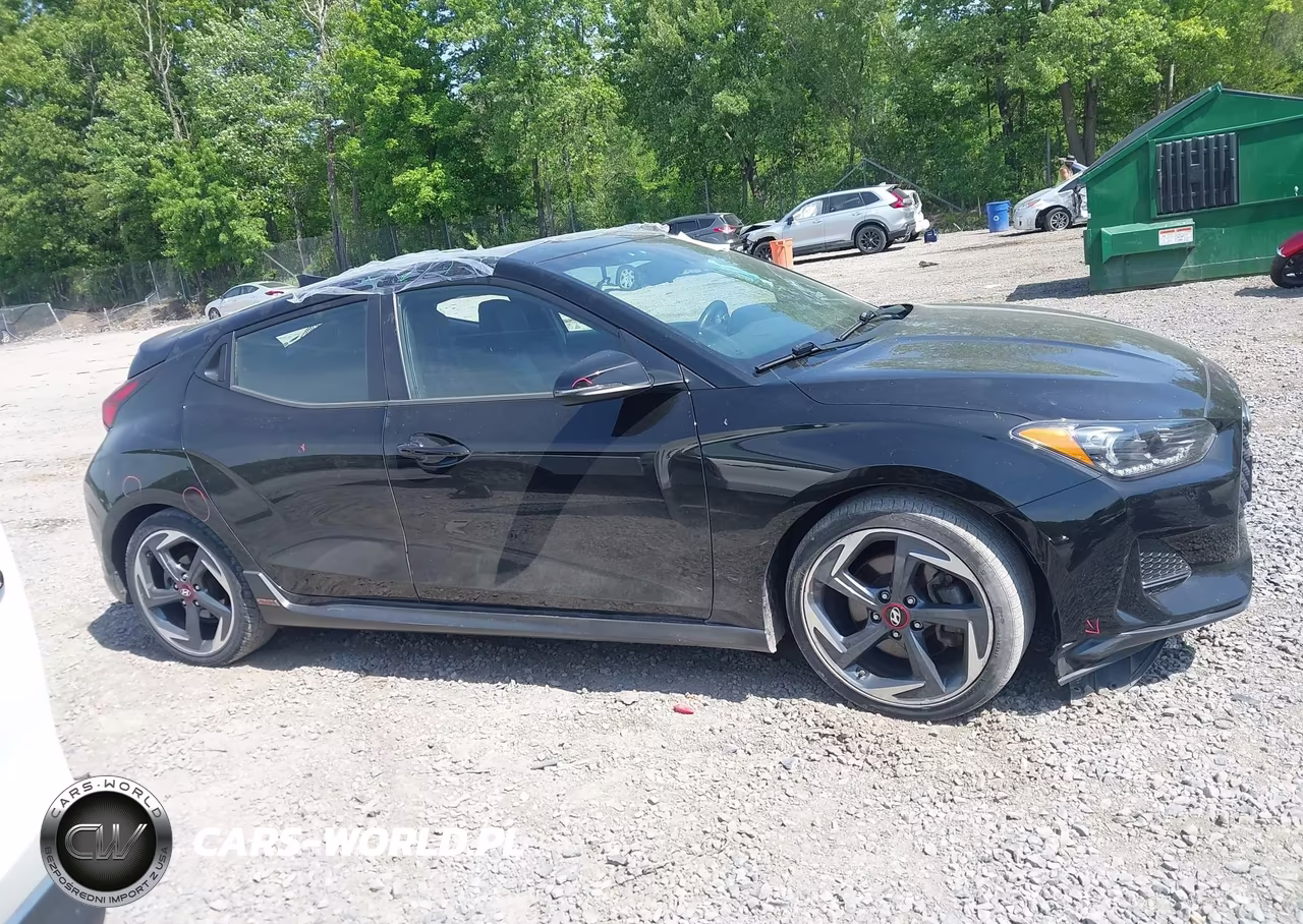 2019 Hyundai Veloster Turbo VIN:KMHTH6AB5KU013875 - 13