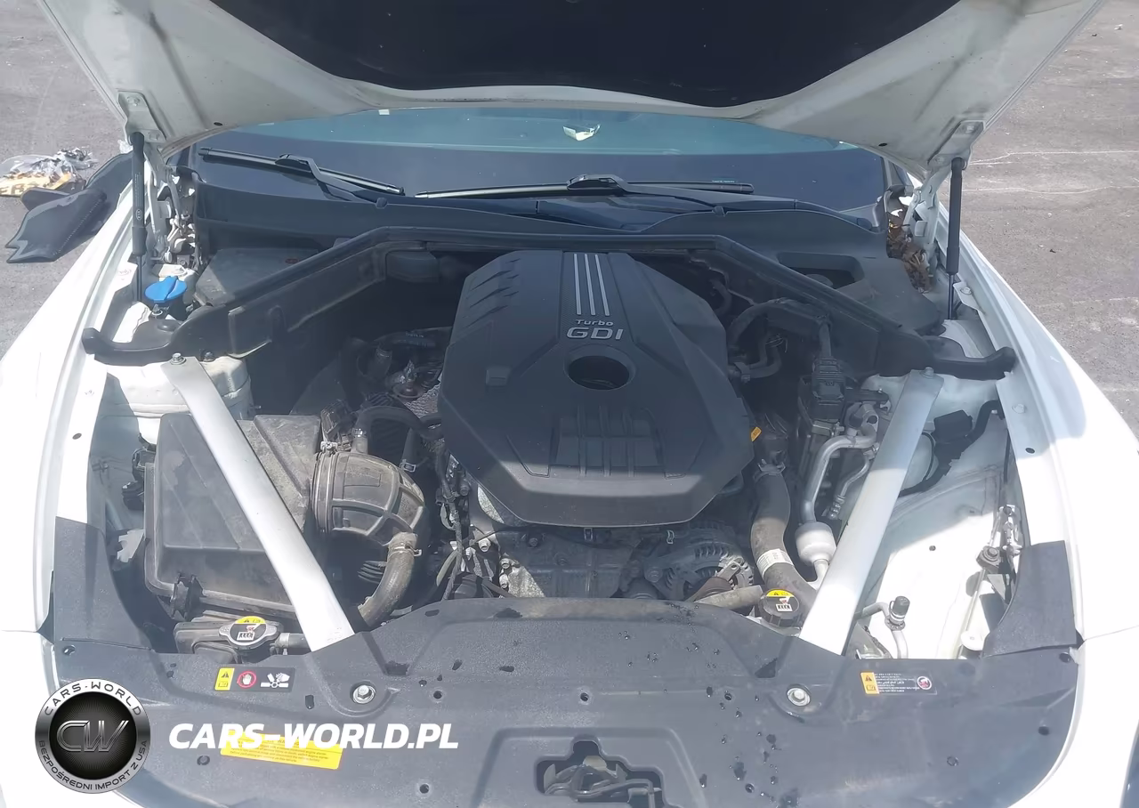 2019 Kia Stinger Premium VIN:KNAE25LA2K6052194 - 10