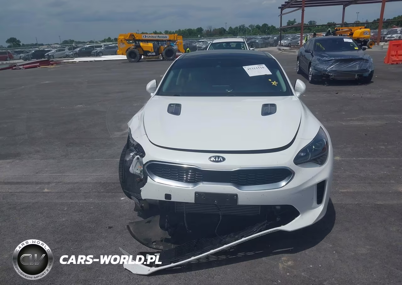 2019 Kia Stinger Premium VIN:KNAE25LA2K6052194 - 12