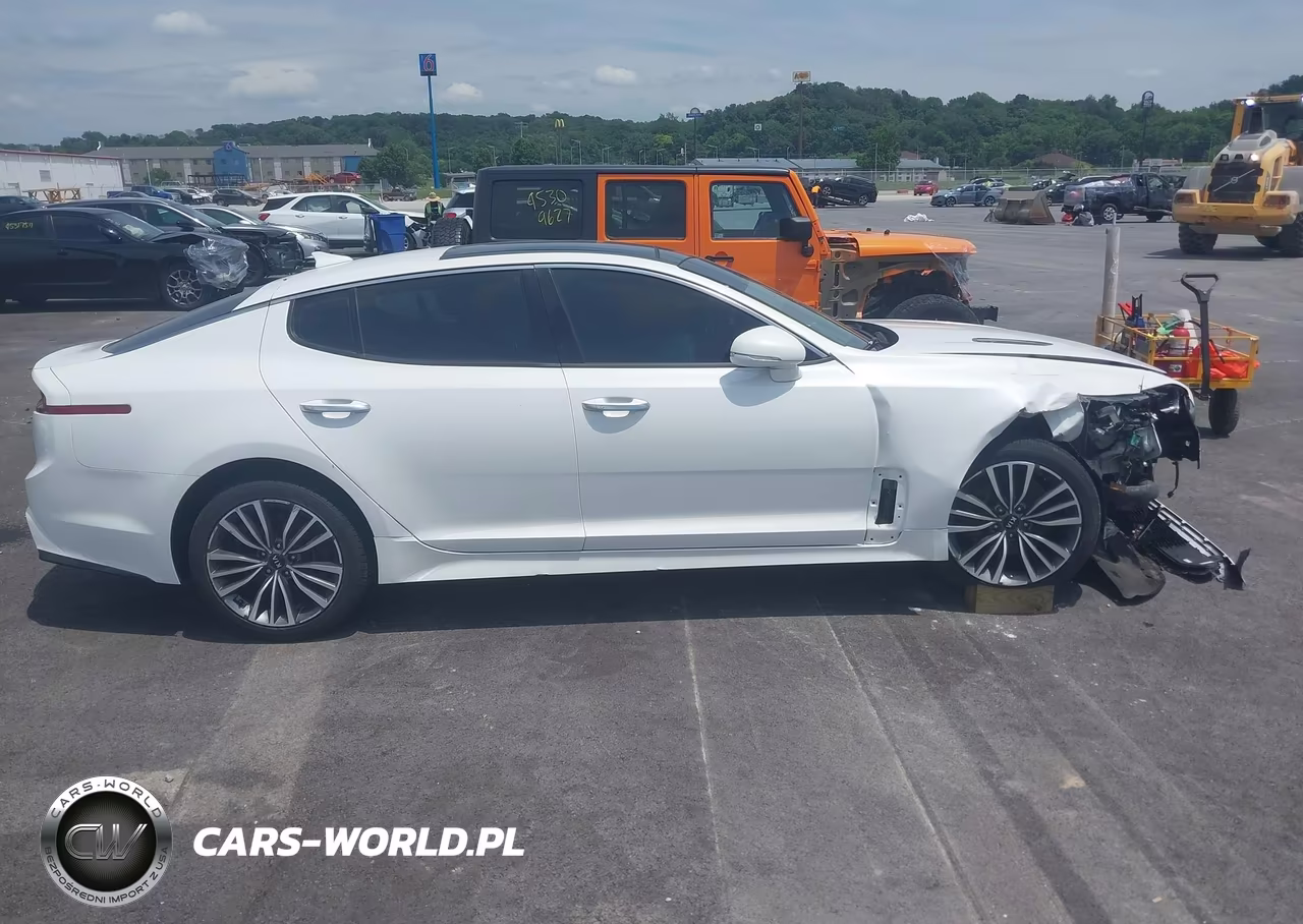 2019 Kia Stinger Premium VIN:KNAE25LA2K6052194 - 13