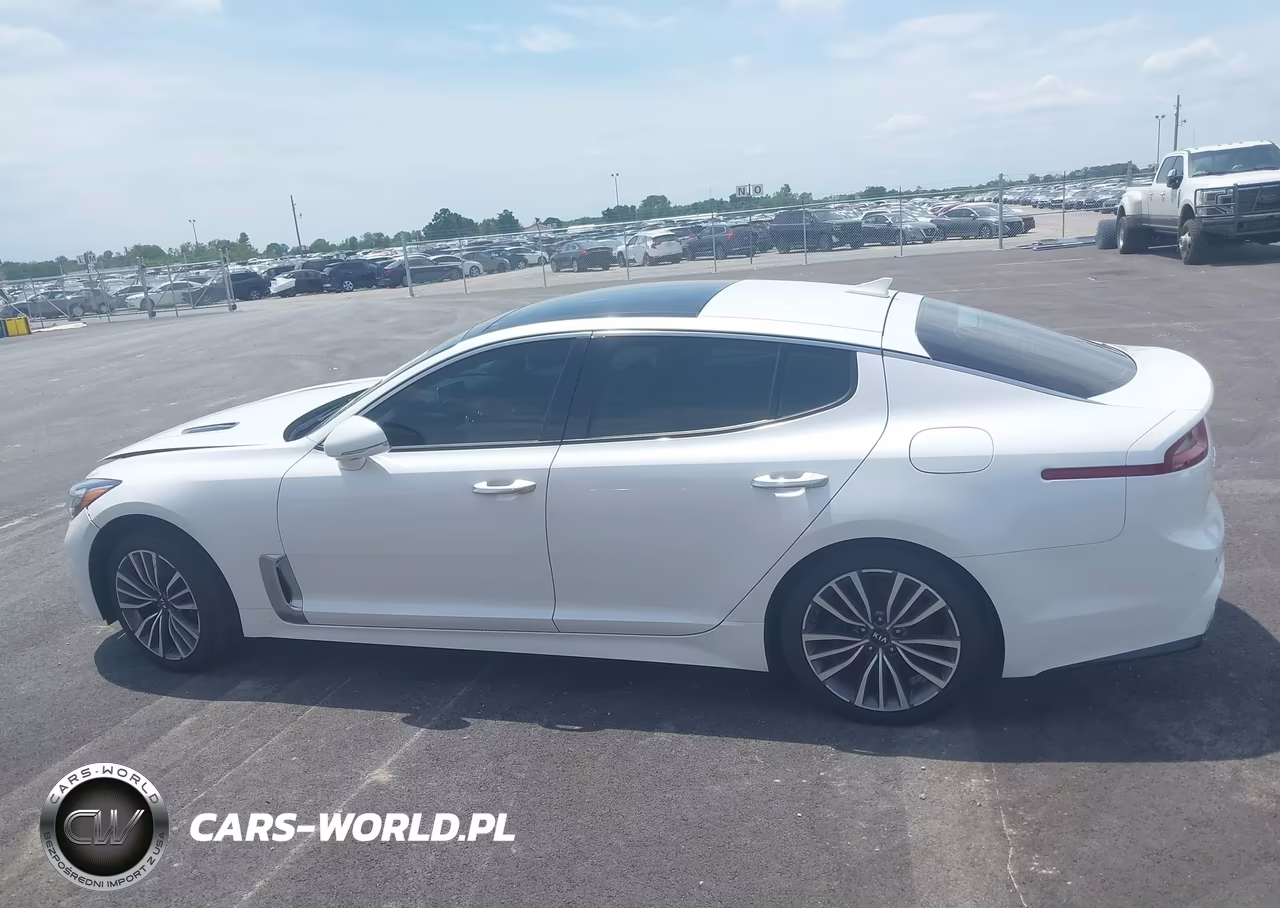 2019 Kia Stinger Premium VIN:KNAE25LA2K6052194 - 14