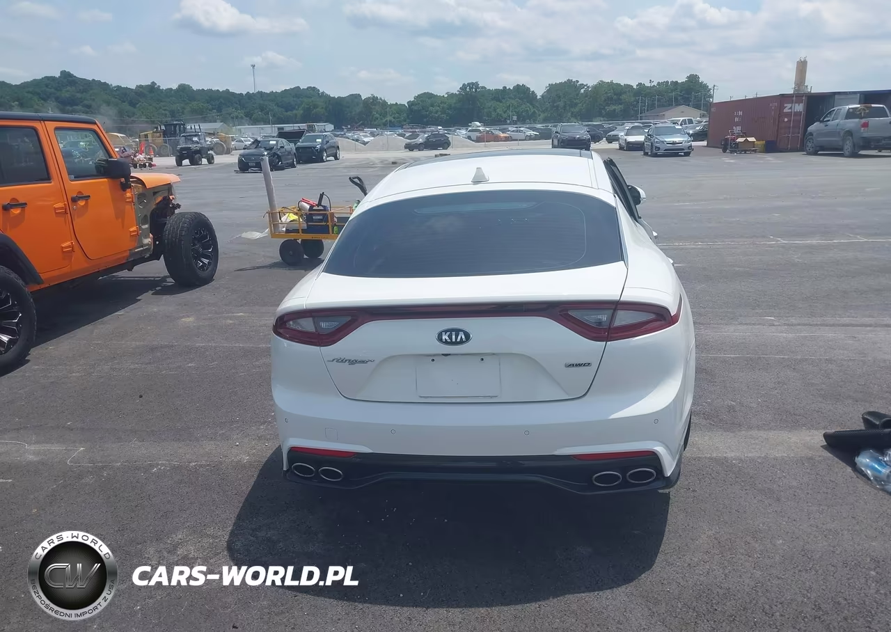 2019 Kia Stinger Premium VIN:KNAE25LA2K6052194 - 16