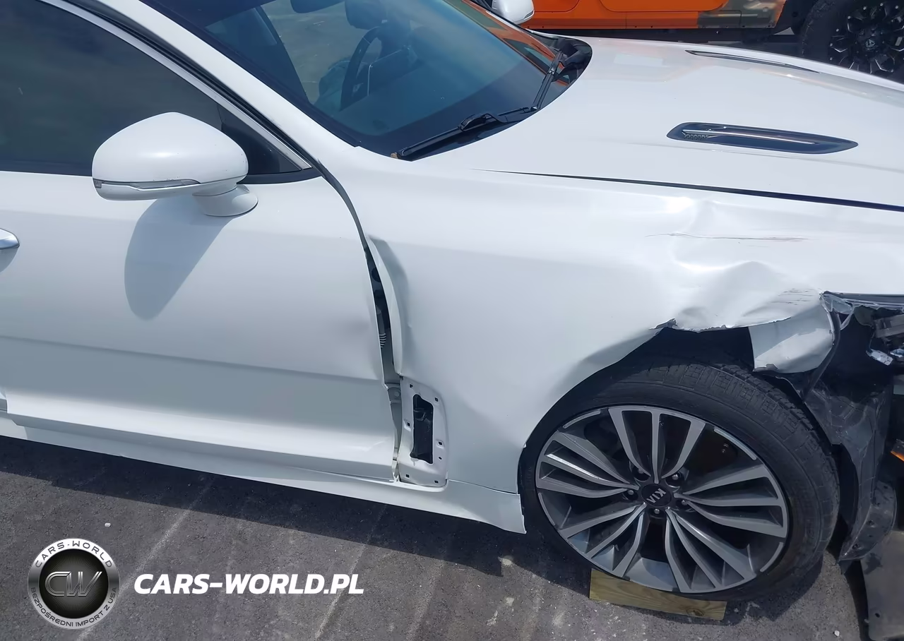 2019 Kia Stinger Premium VIN:KNAE25LA2K6052194 - 17