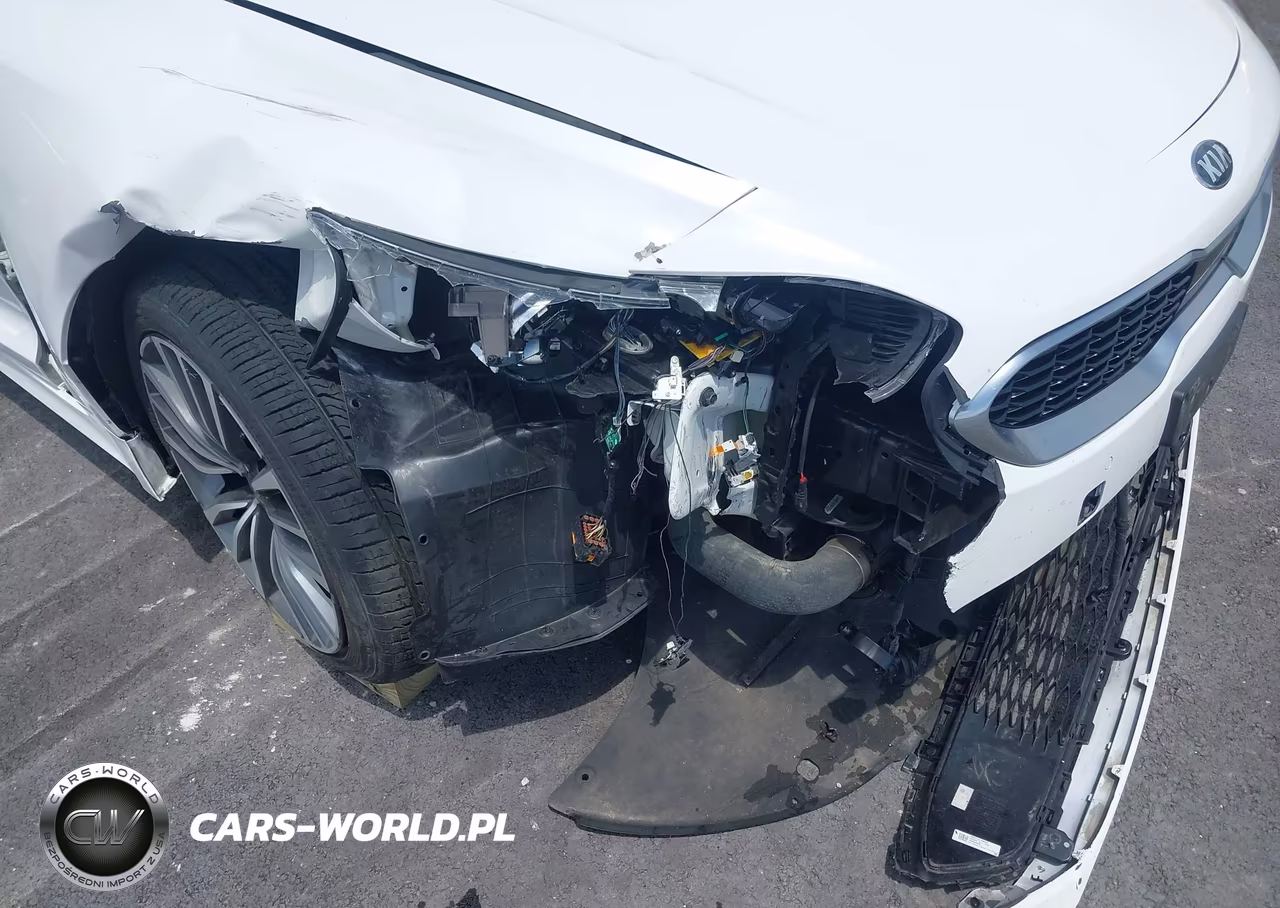 2019 Kia Stinger Premium VIN:KNAE25LA2K6052194 - 18