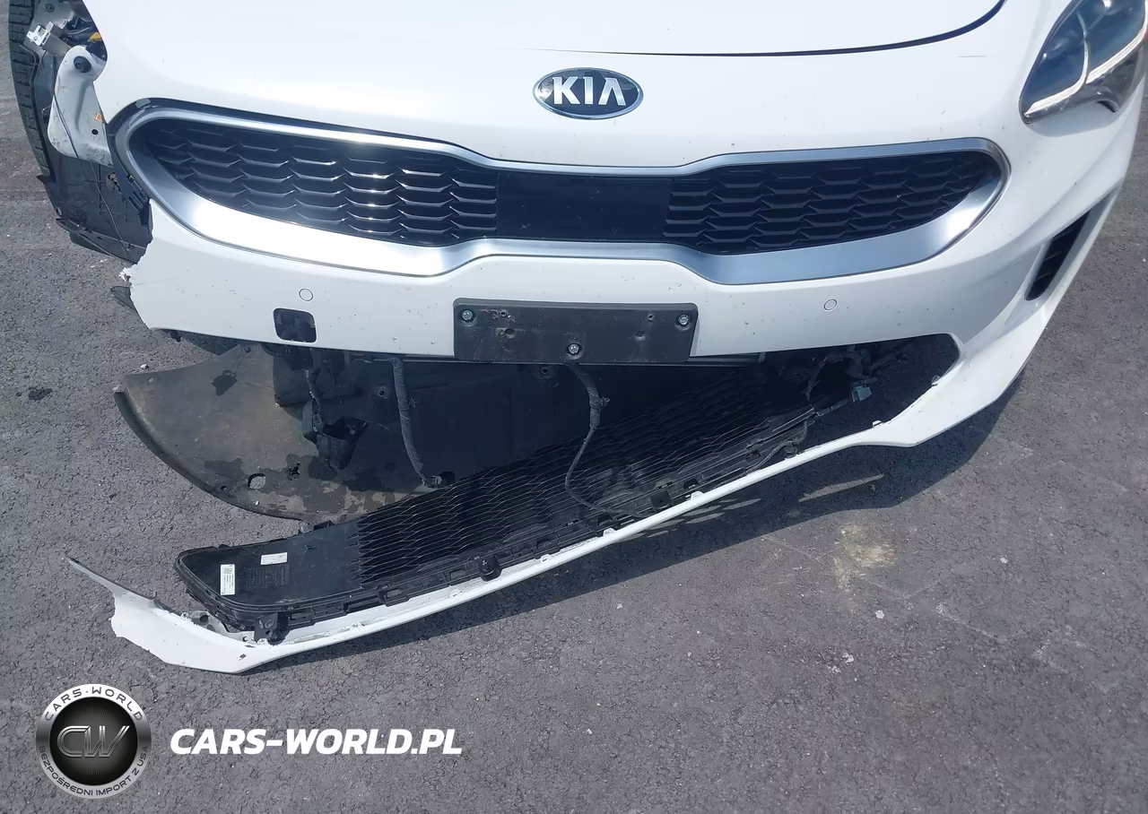 2019 Kia Stinger Premium VIN:KNAE25LA2K6052194 - 19