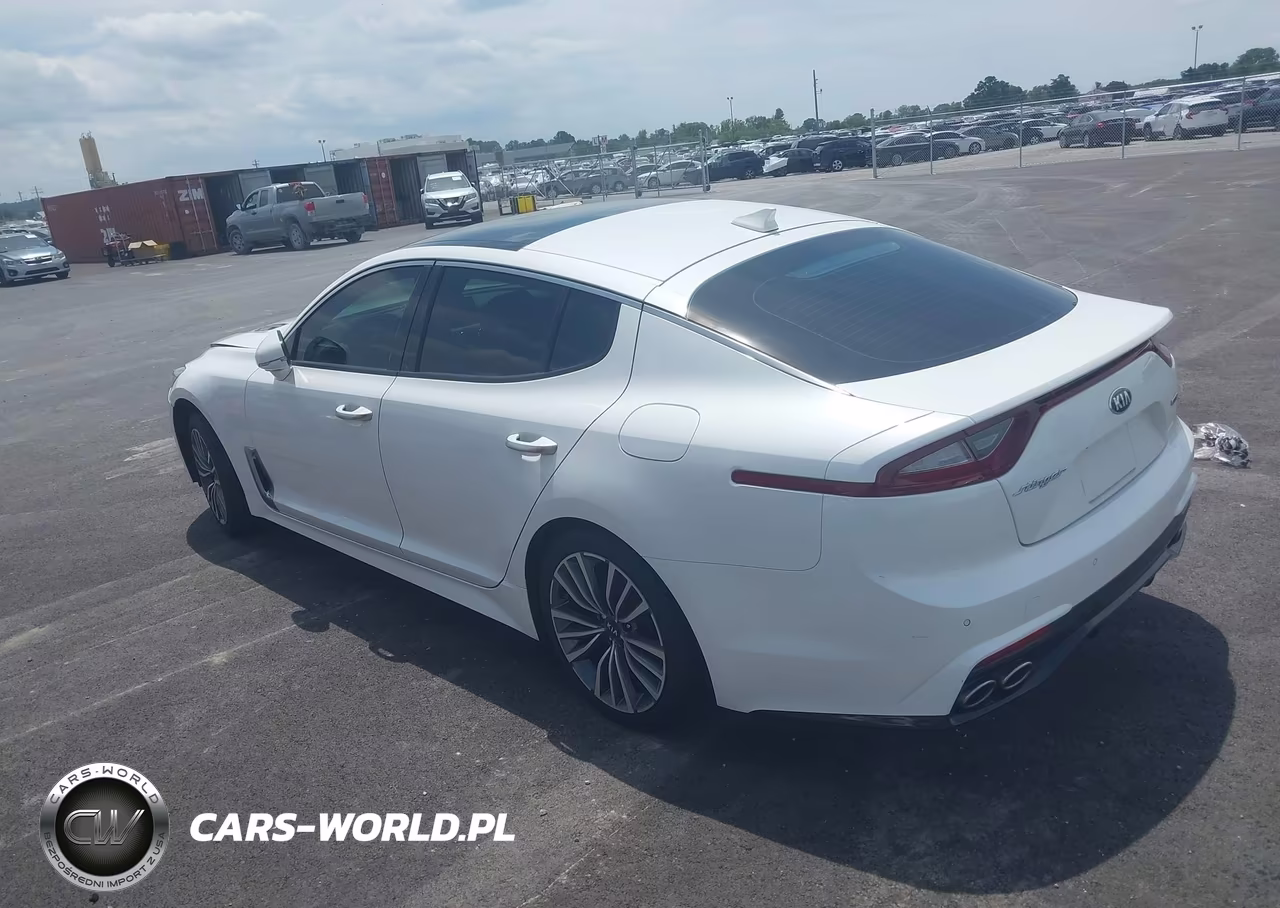 2019 Kia Stinger Premium VIN:KNAE25LA2K6052194 - 3