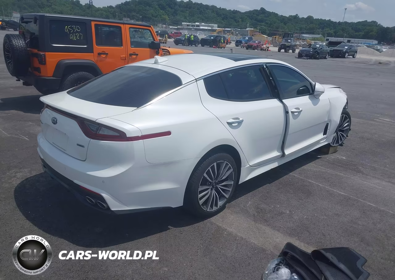 2019 Kia Stinger Premium VIN:KNAE25LA2K6052194 - 4