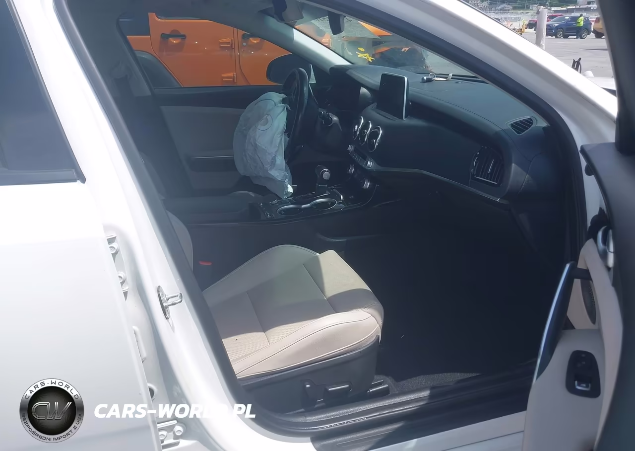 2019 Kia Stinger Premium VIN:KNAE25LA2K6052194 - 5