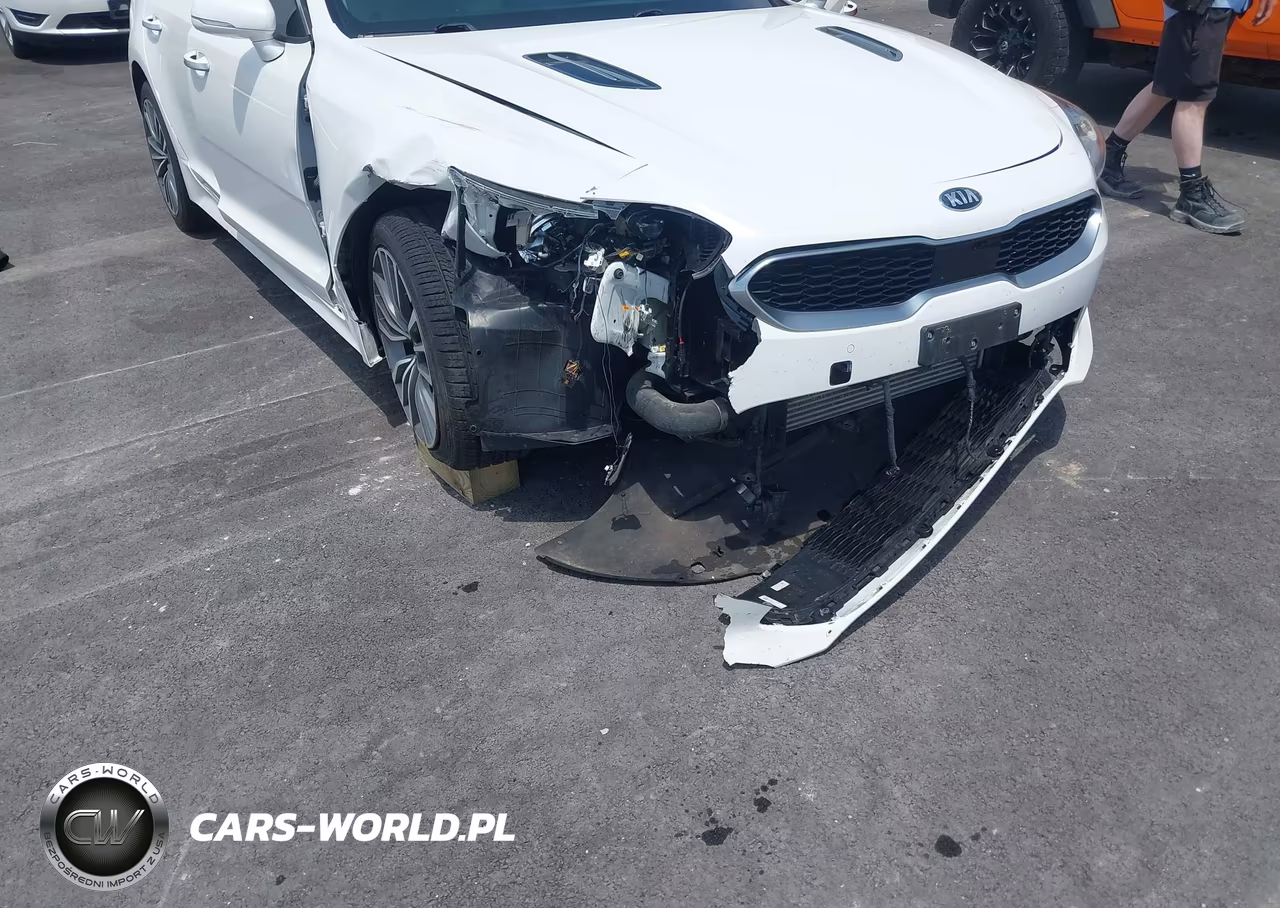 2019 Kia Stinger Premium VIN:KNAE25LA2K6052194 - 6