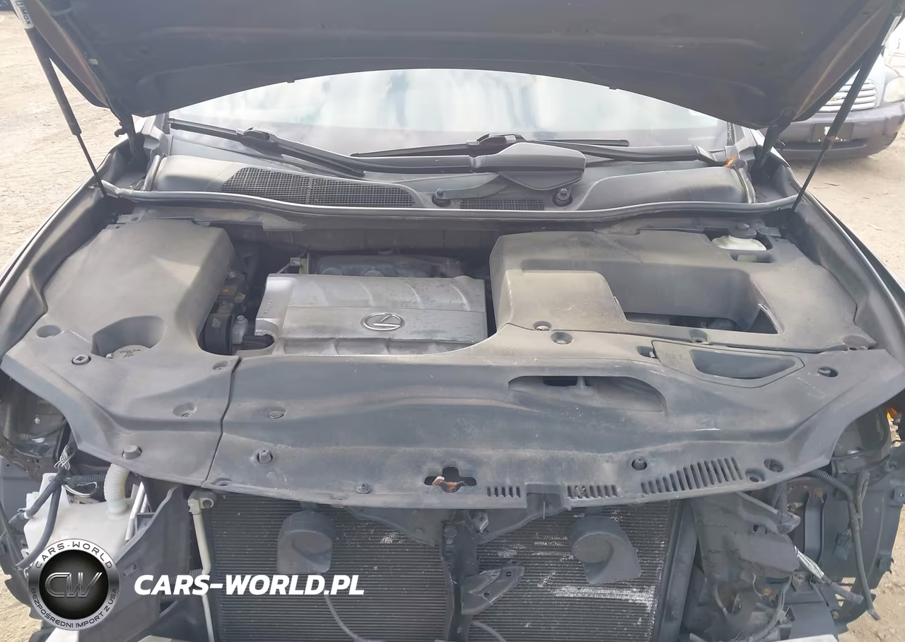 2010 Lexus Rx 350 VIN:2T2BK1BA8AC065230 - 10