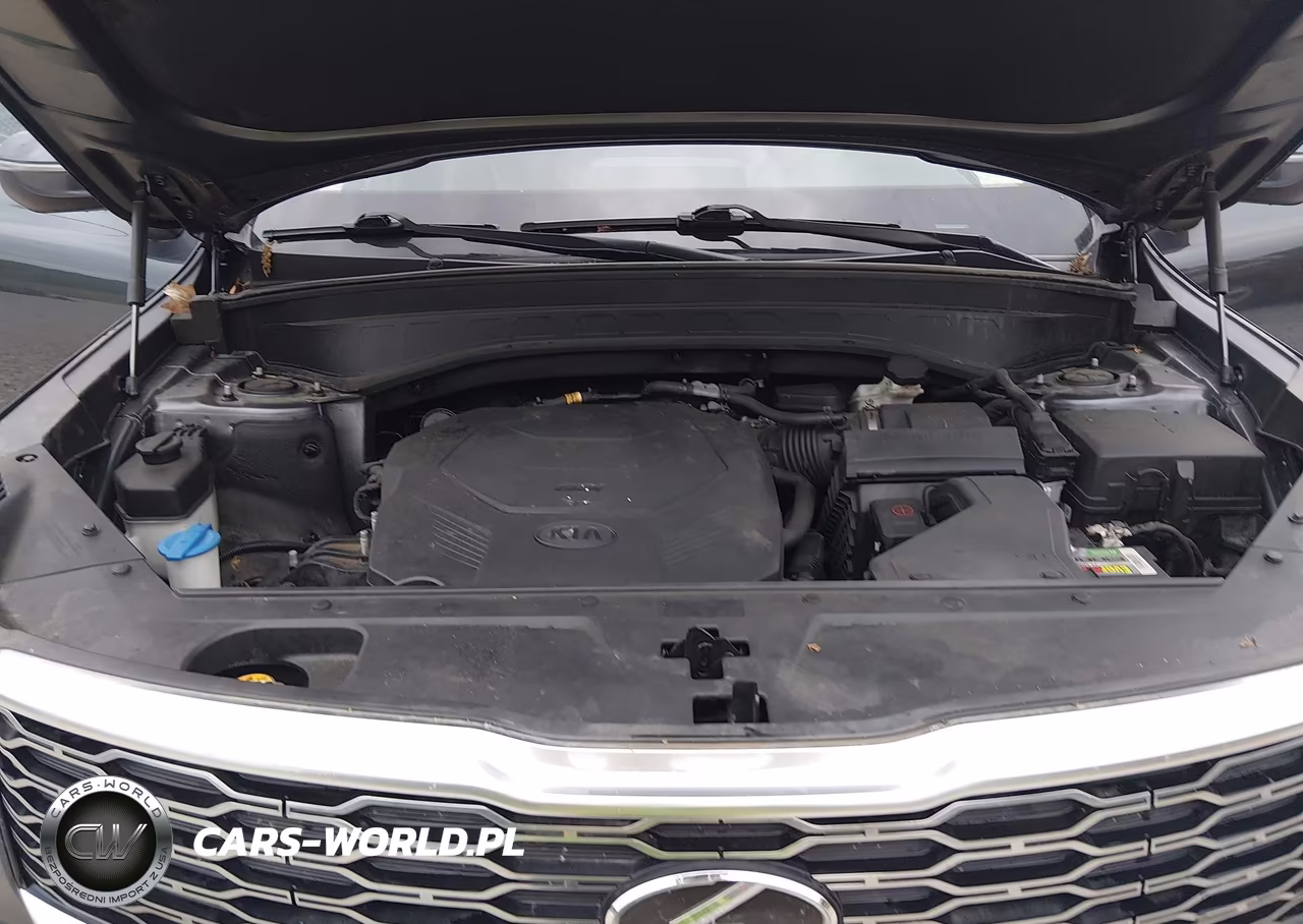 2020 Kia Telluride Ex VIN:5XYP3DHC3LG003386 - 10