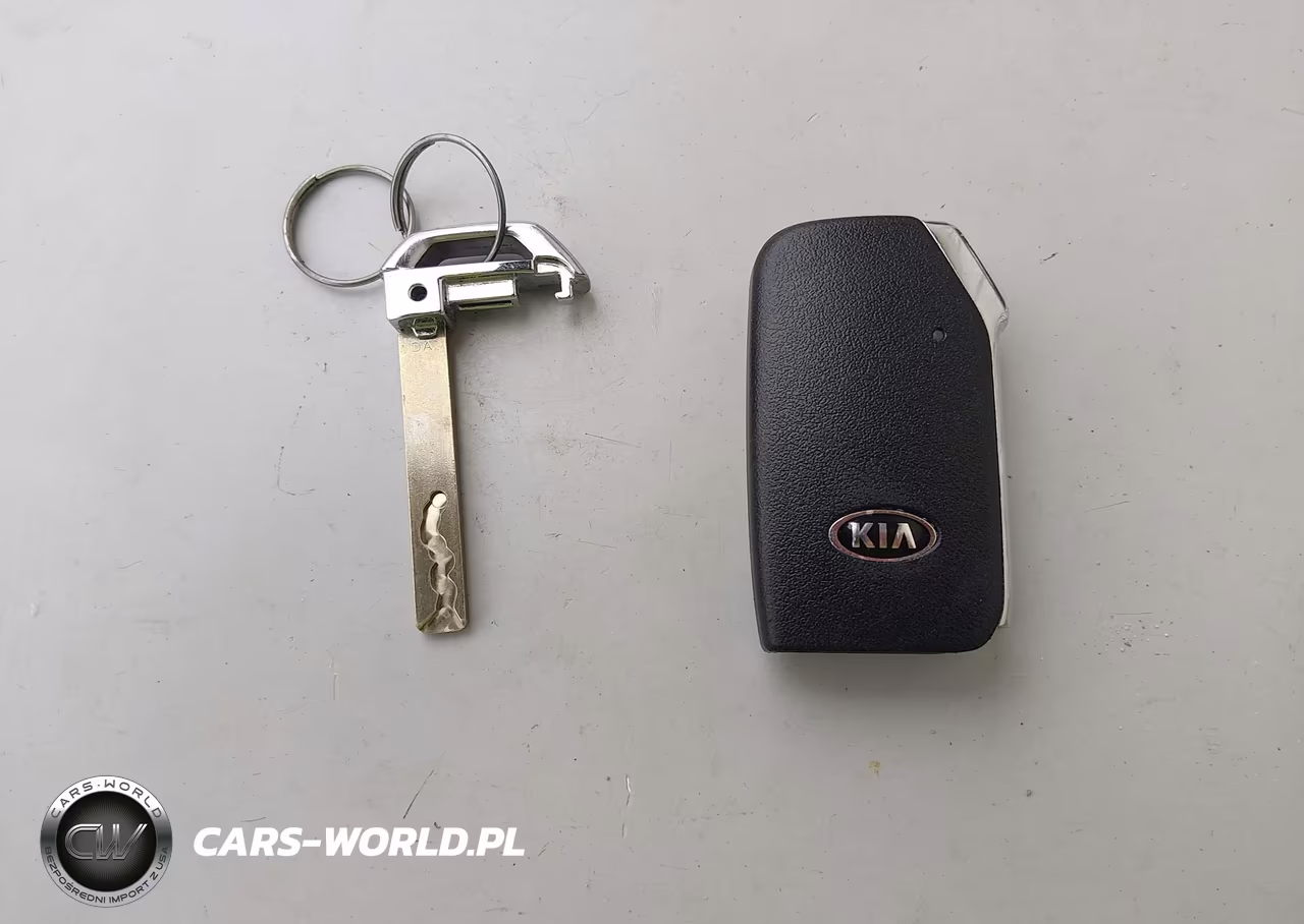 2020 Kia Telluride Ex VIN:5XYP3DHC3LG003386 - 11
