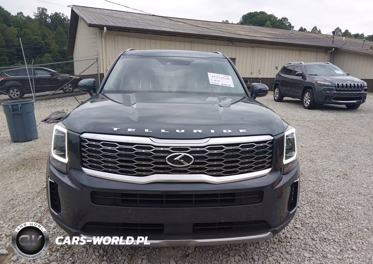 2020 Kia Telluride Ex VIN:5XYP3DHC3LG003386 - 13