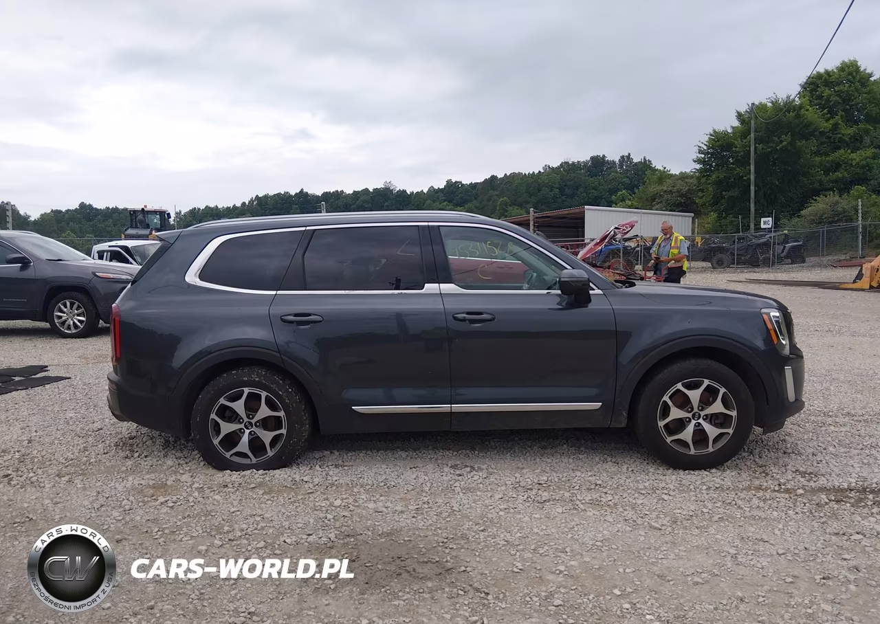 2020 Kia Telluride Ex VIN:5XYP3DHC3LG003386 - 14