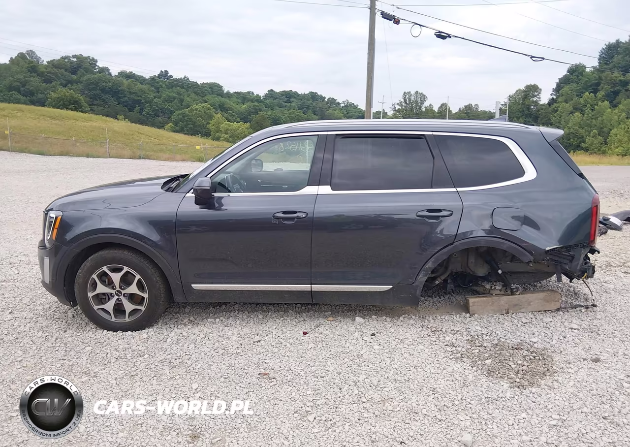 2020 Kia Telluride Ex VIN:5XYP3DHC3LG003386 - 15
