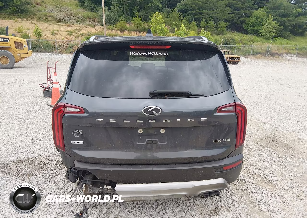 2020 Kia Telluride Ex VIN:5XYP3DHC3LG003386 - 17