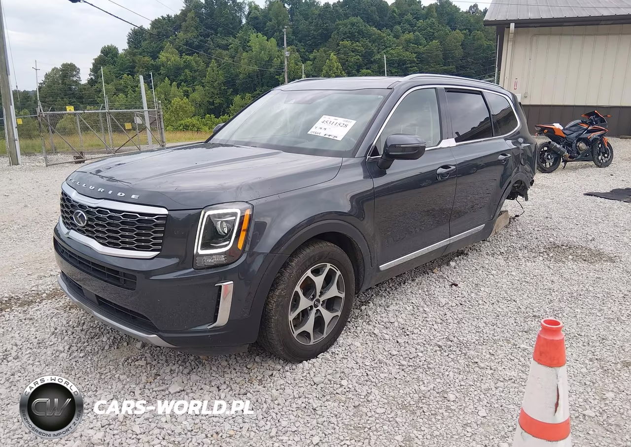 2020 Kia Telluride Ex VIN:5XYP3DHC3LG003386 - 2