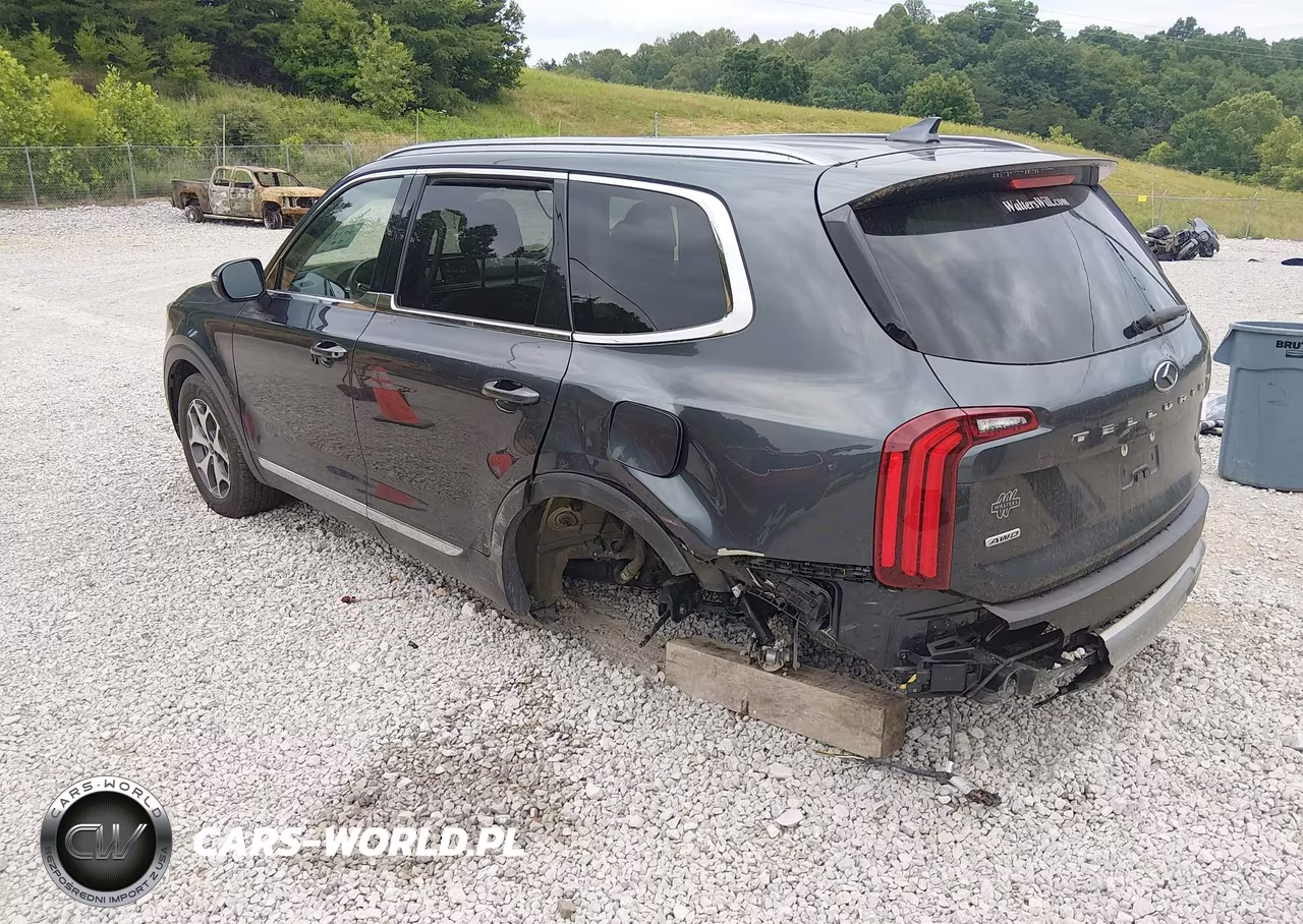2020 Kia Telluride Ex VIN:5XYP3DHC3LG003386 - 3