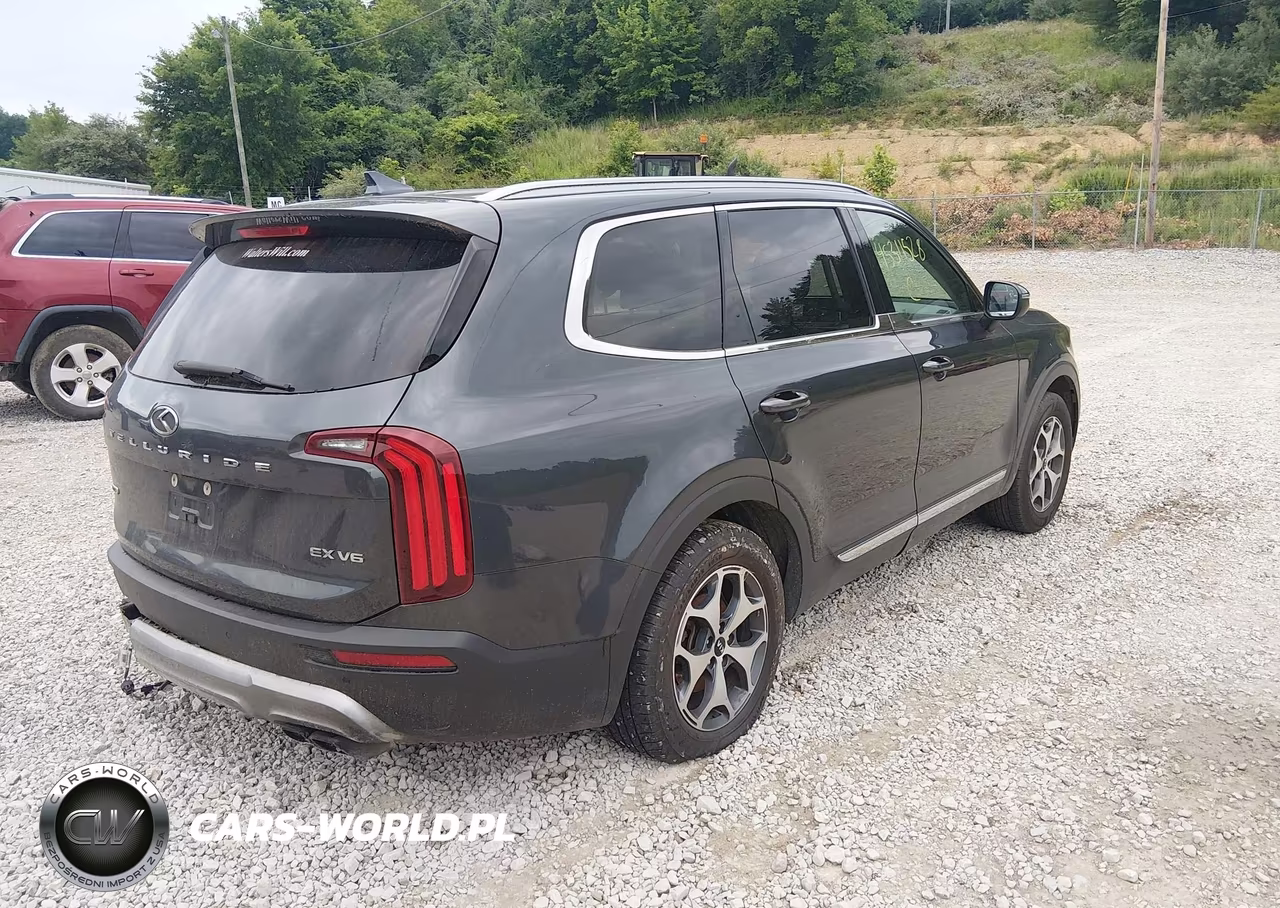 2020 Kia Telluride Ex VIN:5XYP3DHC3LG003386 - 4