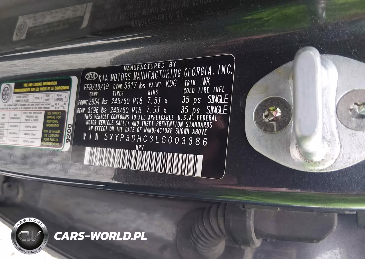 2020 Kia Telluride Ex VIN:5XYP3DHC3LG003386 - 9