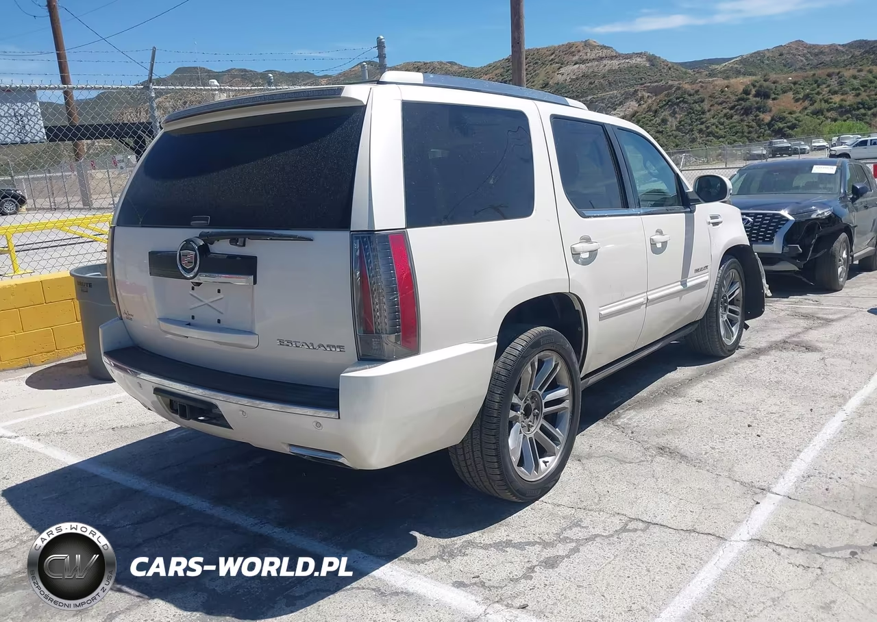 2013 Cadillac Escalade Premium VIN:1GYS4CEF1DR210517 - 4