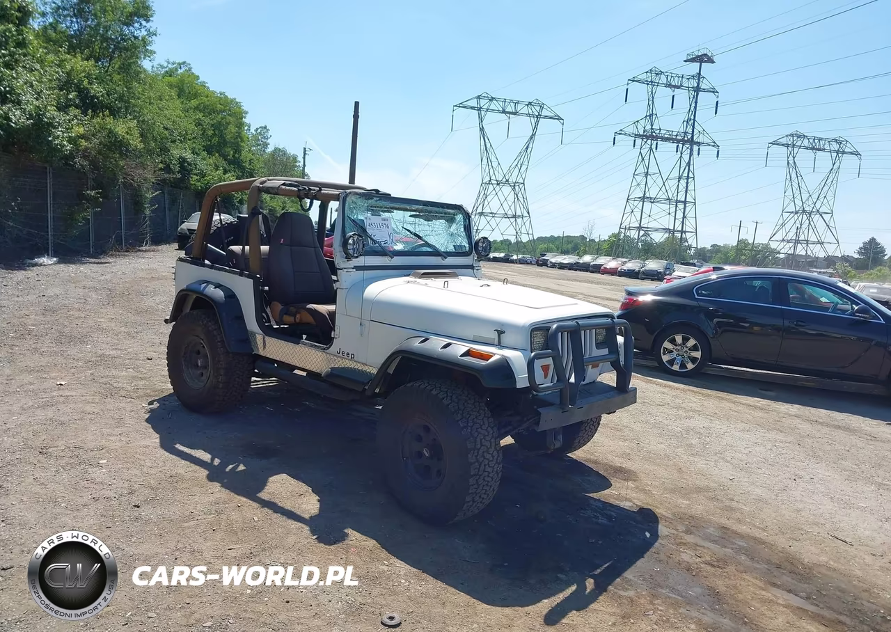 1995 Jeep Wrangler - Yj Se