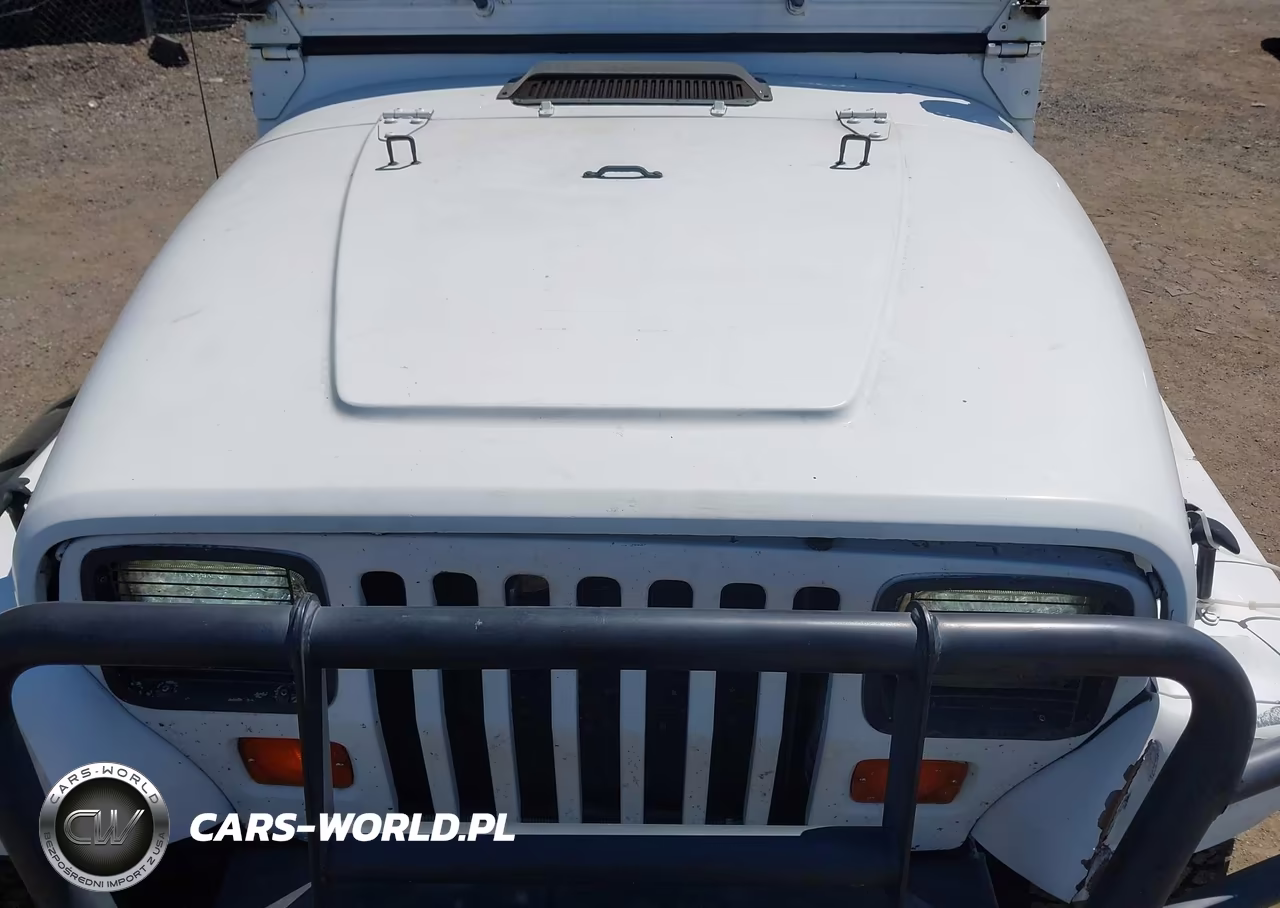 1995 Jeep Wrangler - Yj Se VIN:1J4FY29S6SP240662 - 10
