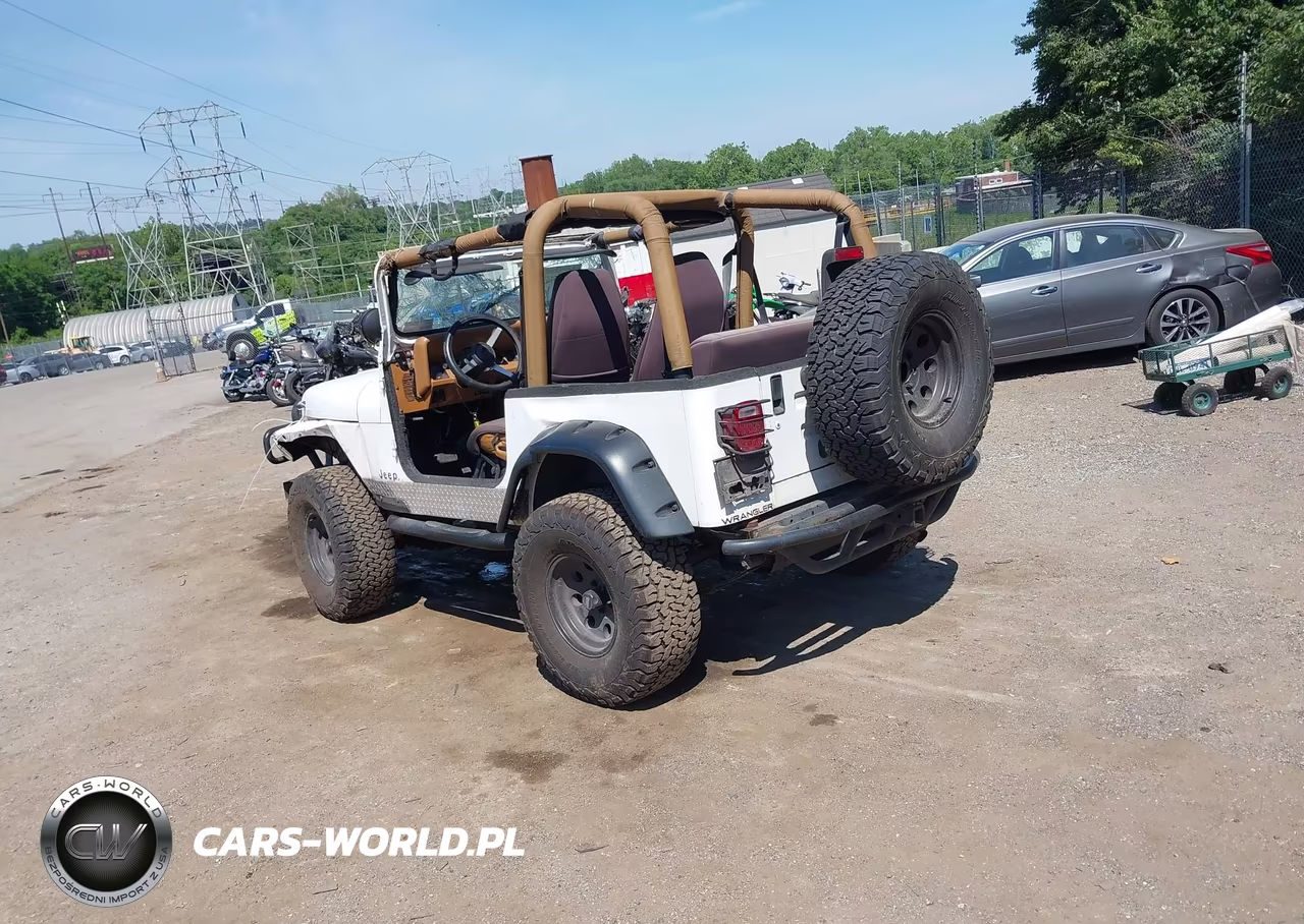 1995 Jeep Wrangler - Yj Se VIN:1J4FY29S6SP240662 - 3