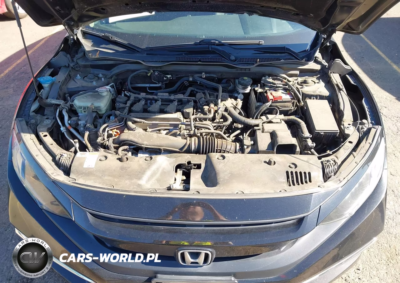 2019 Honda Civic Ex VIN:19XFC1F30KE213324 - 10