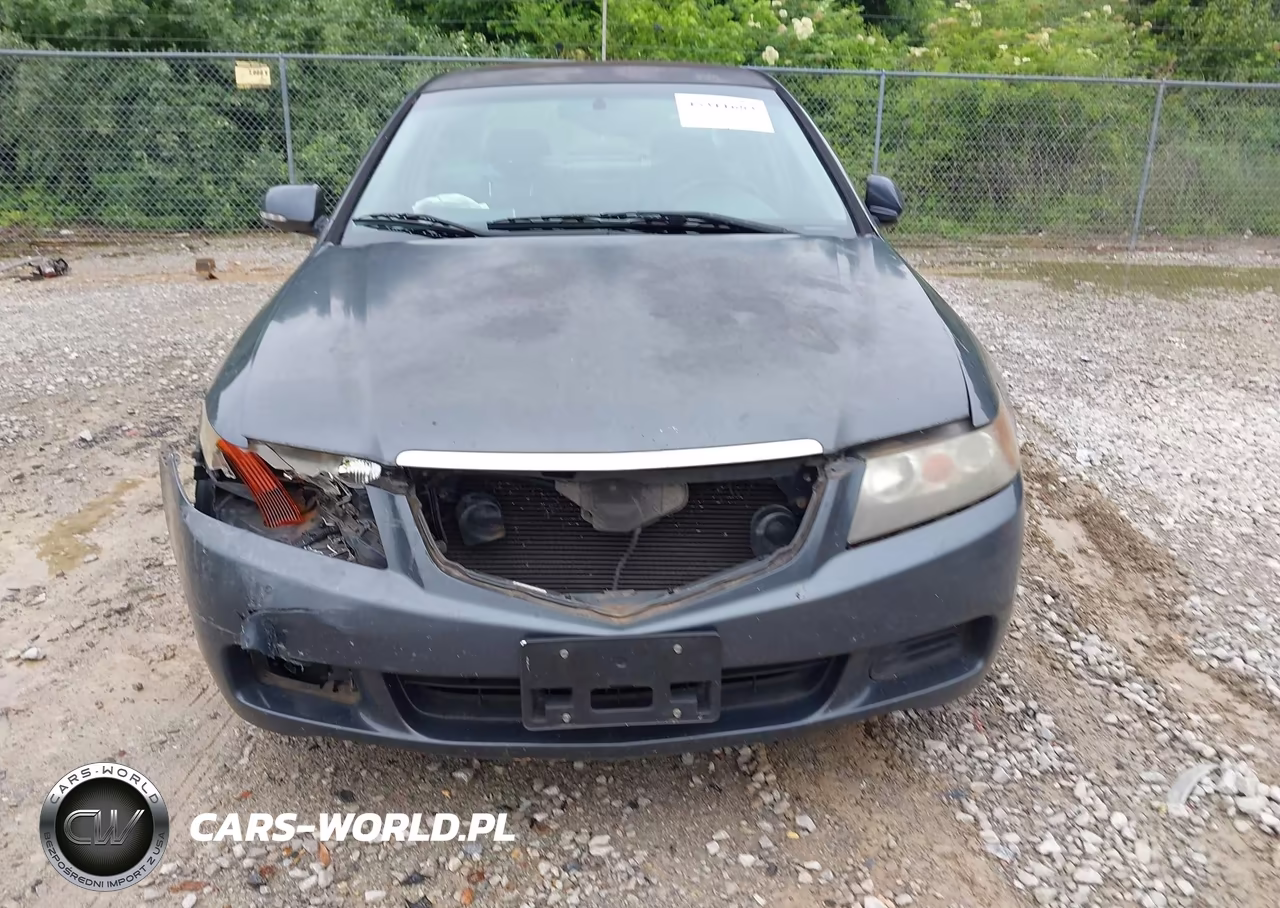 2004 Acura Tsx VIN:JH4CL96804C034383 - 12